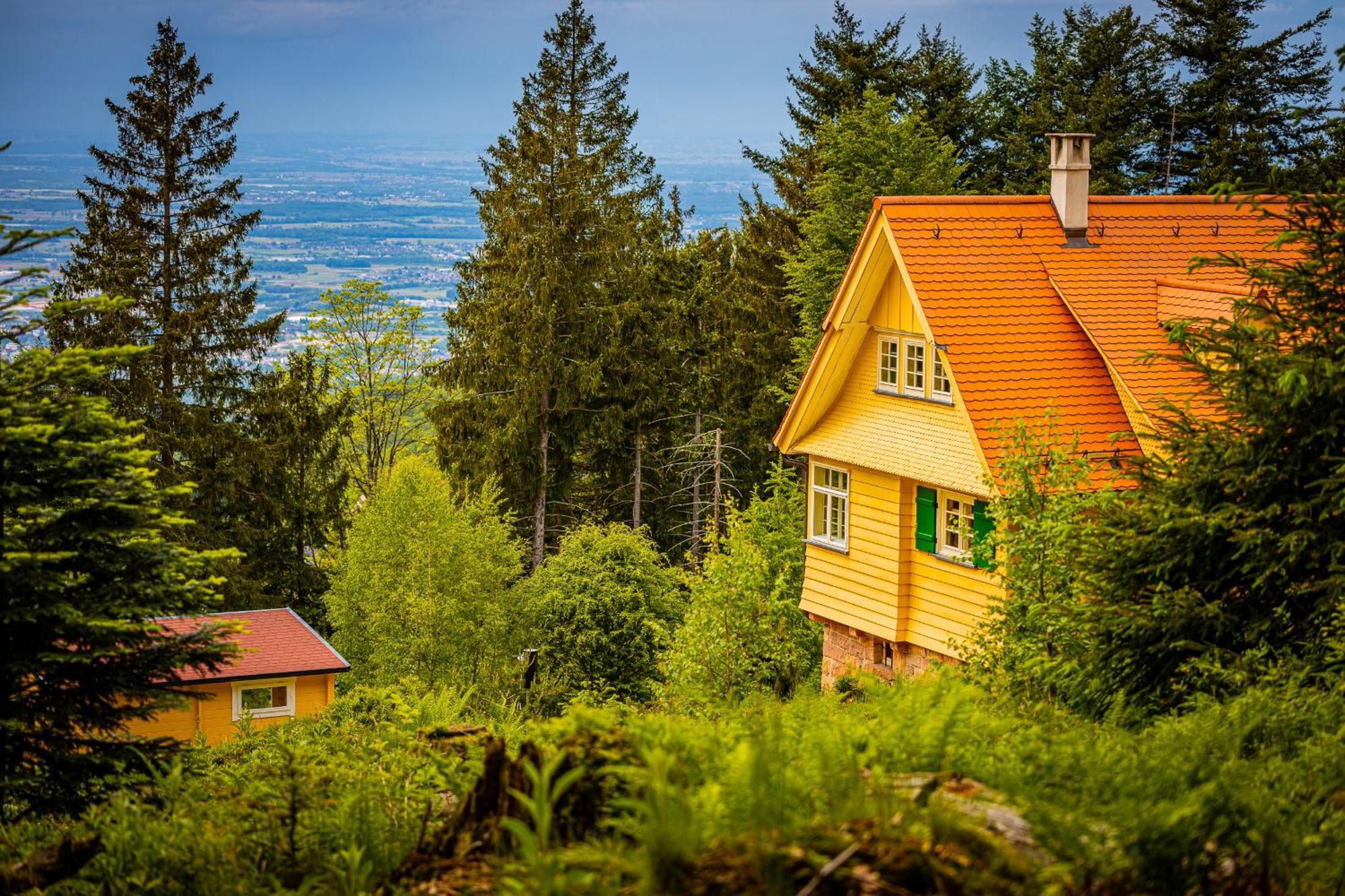 Sonnenhaeusle - Natur. Fernblick. Panorama-Sauna. Sasbachwalden Exterior foto