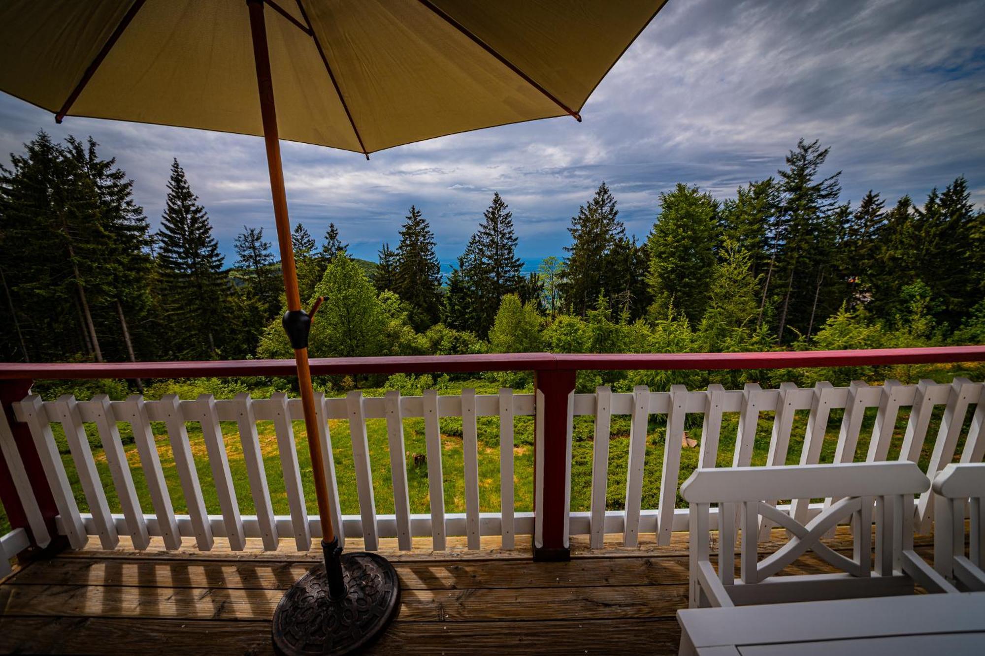 Sonnenhaeusle - Natur. Fernblick. Panorama-Sauna. Sasbachwalden Exterior foto